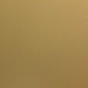 Meet your Posher, Evan